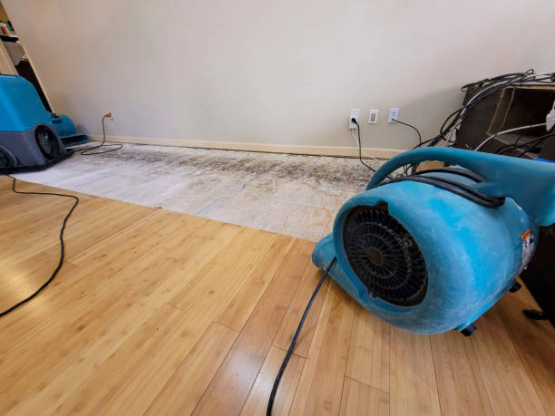 Professional Basement Flood Cleanup technician working in Mason, OH